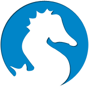 ddos网页端